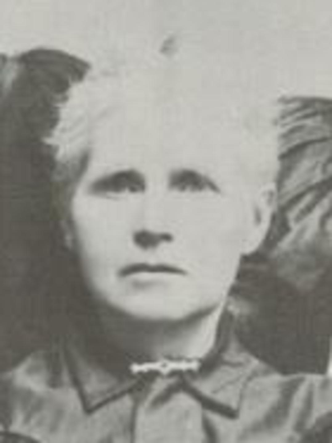 Priscilla Slater (1840 - 1927) Profile